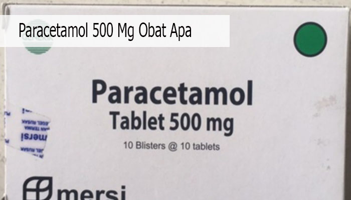 Paracetamol 500 Mg Obat Apa? Beserta Cara Pengunaannya!